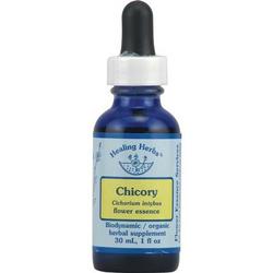 CHICORY DROPPER 1 OZ