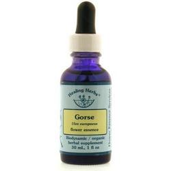 GORSE DROPPER 1 OZ