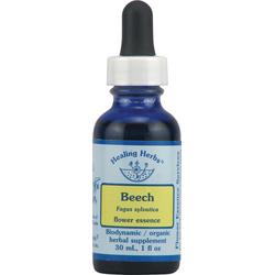 BEECH DROPPER 0.25 OZ