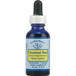 CHESTNUT BUD DROPPER 0.25 OZ