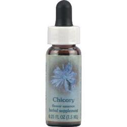 CHICORY DROPPER 0.25 OZ