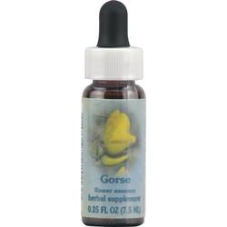 GORSE DROPPER 0.25 OZ