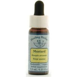 MUSTARD DROPPER 0.25 OZ