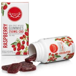 REAL-FRUIT INFUSED CBD GUMMIES RASPBERRY 250 MG 10 GUMMY