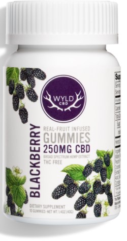 REAL-FRUIT INFUSED CBD GUMMIES BLACKBERRY 250 MG 10 GUMMY