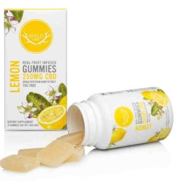 REAL-FRUIT INFUSED CBD GUMMIES LEMON 250 MG 10 GUMMY