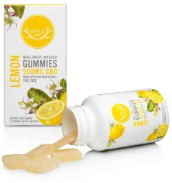 REAL-FRUIT INFUSED CBD GUMMIES LEMON 500 MG 20 GUMMY